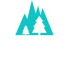 The Net Zero Report